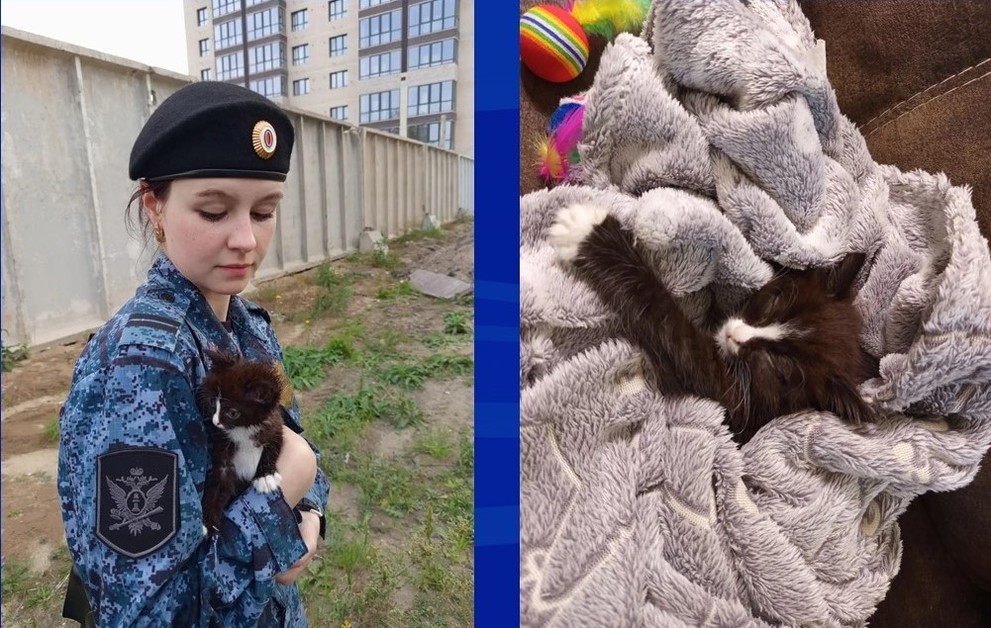 Доброе сердце в погонах спасло котёнка на Алтае