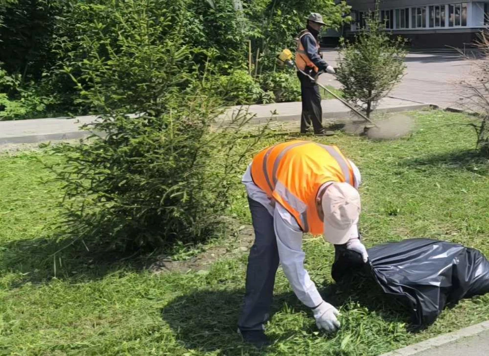 В Красноярске продолжается покос травы