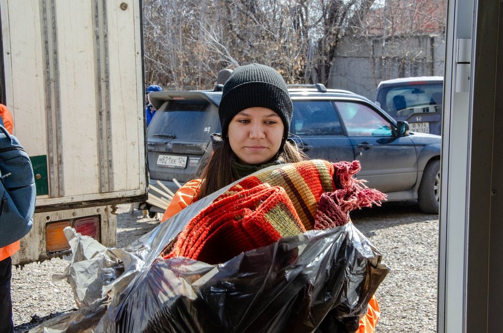 Жители Красноярска могут помочь бездомным животным