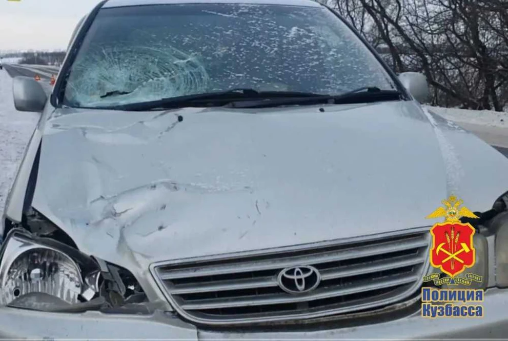 В Кузбассе под колёсами автомобиля погибла женщина 
