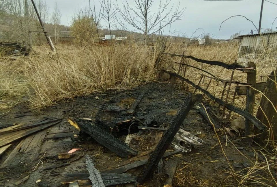 В Красноярском крае установили детей причастных к пожару на 1000 кв. метров