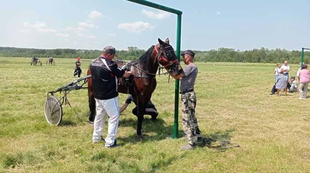 В Новосибирской области прошли конноспортивные соревнования
