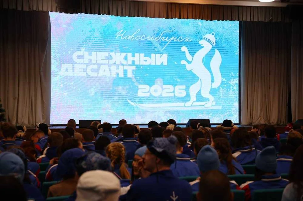 Снежный и трудовой десант поможет жителям Новосибирска и области