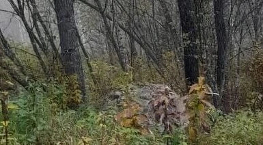 Мужчина обвиняется в смерти знакомого во время охоты в Хакасии