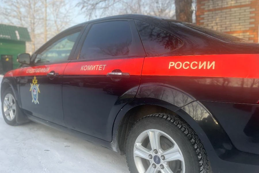 В Республике Тыва студента техникума обвиняют в убийстве школьника