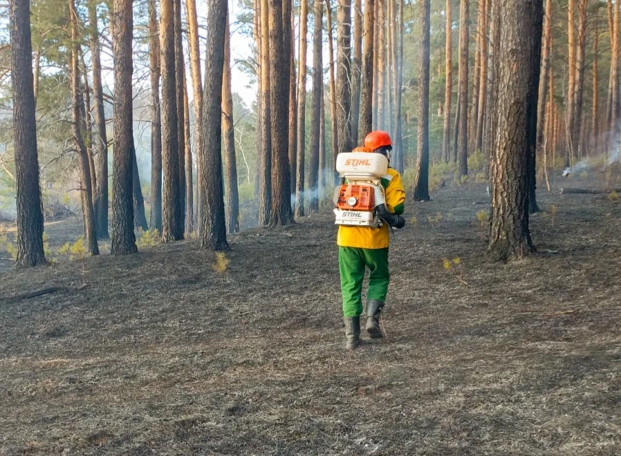 В нескольких районах Красноярского края сегодня открыт пожароопасный сезон