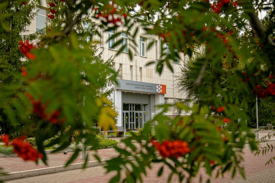 В Красноярске пройдёт Международная олимпиада по финансовой безопасности