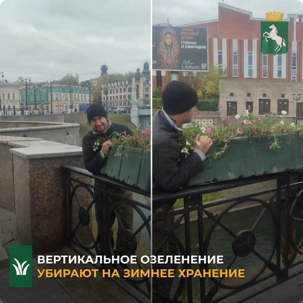 В Томске пропадет вертикальное озеленение 