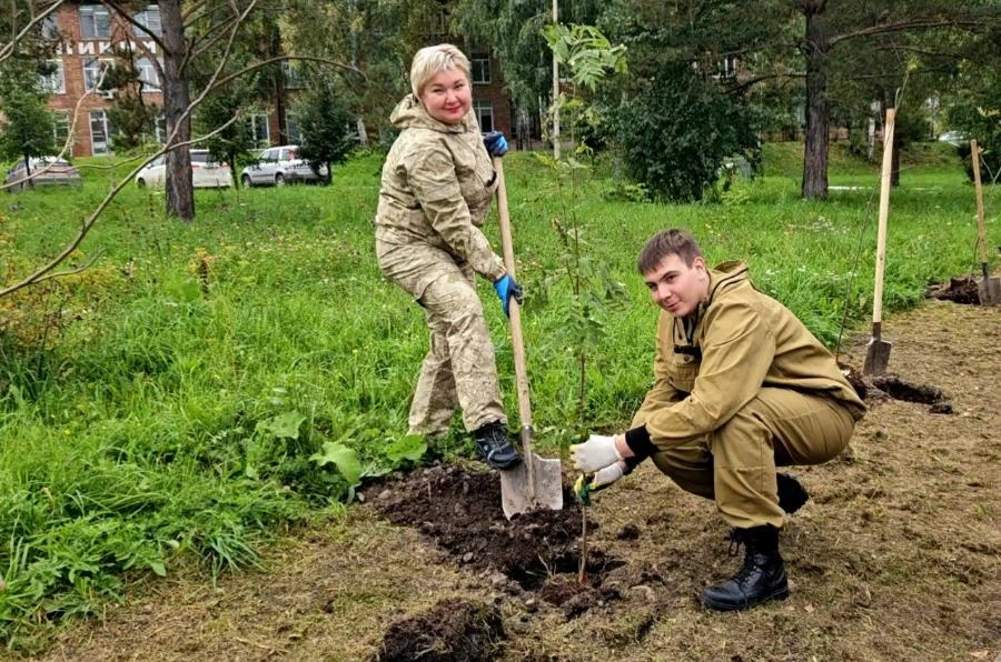 Жителей Красноярского края приглашают внести личный вклад в восстановление лесов