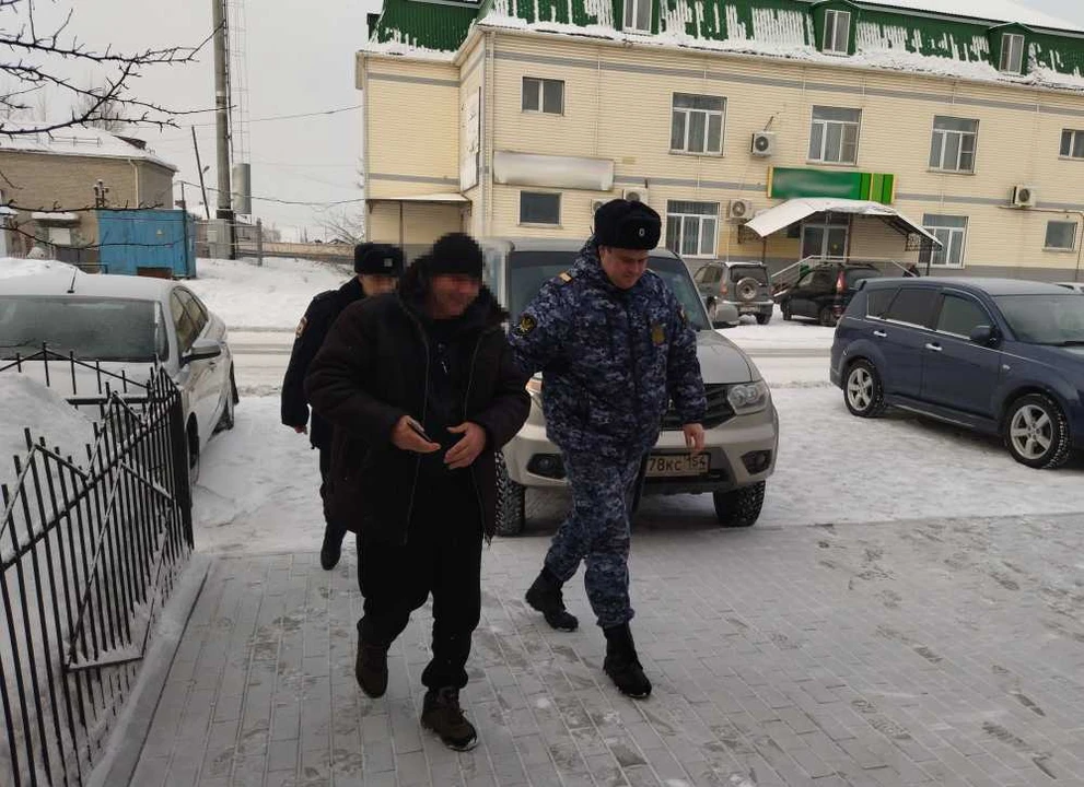 Под Новосибирском судебный пристав нашёл подозреваемого, спрятавшегося в стоге сена