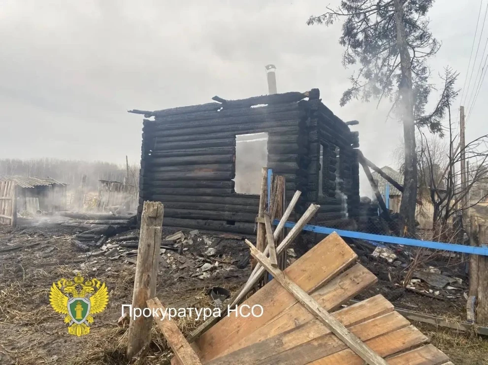 В Новосибирской области при пожаре в доме погибли женщина и двое детей