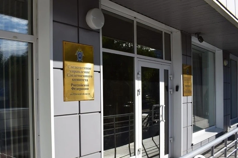 В Омской области возбуждено уголовное дело о странной смерти ребёнка 