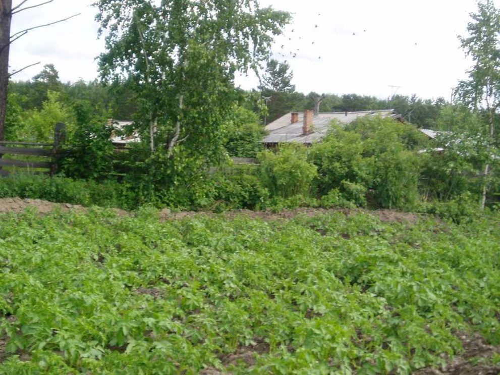 В Томской области депутаты убрали с карты деревню Куролино 