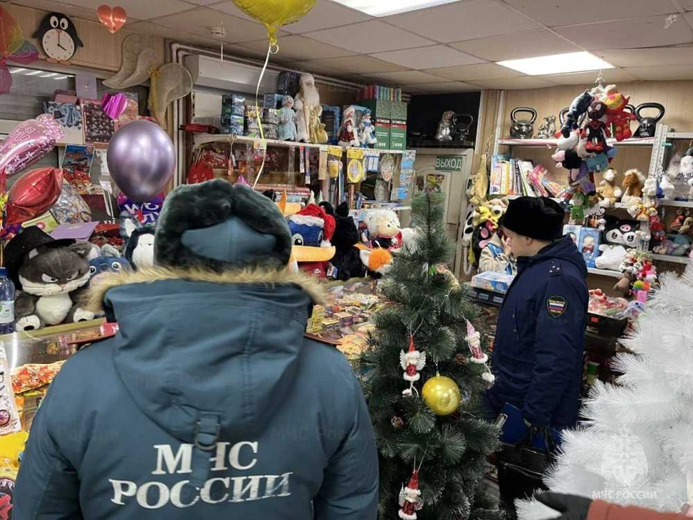 Новый год без опасности: в Новосибирске усилили контроль за продажей пиротехники