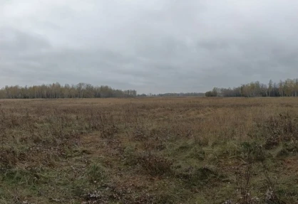 В Новосибирской области мужчина случайно убил главу района