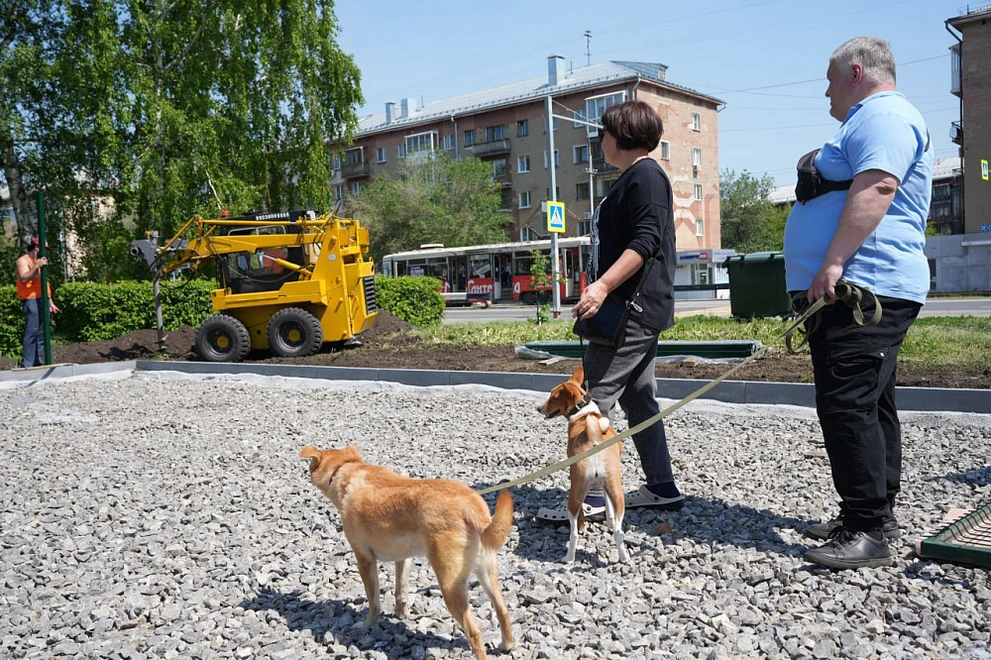 Кемеровчане скоро смогут выгуливать собак на обновлённой площадке 