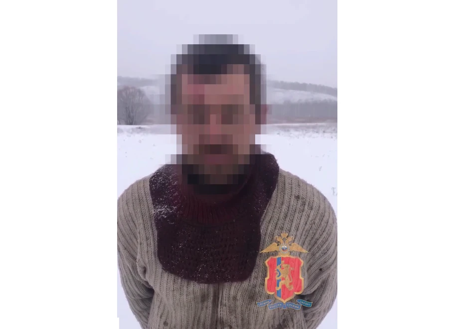 В Красноярском крае задержали подозреваемого в поджоге кедров 