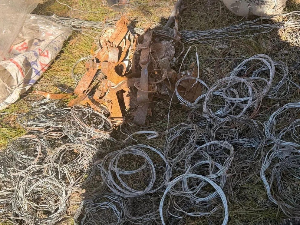 В заповеднике на юге Красноярского края обнаружили браконьерский схрон
