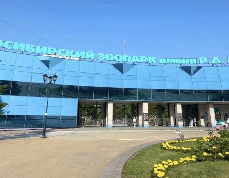 В Новосибирске рассматривают варианты модернизации зоопарка