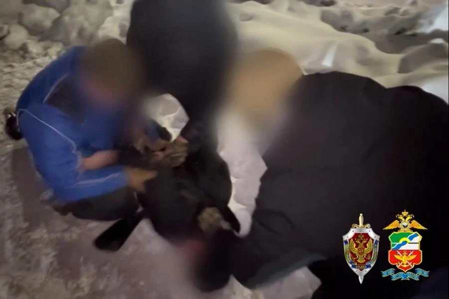 В Новосибирске задержали подростков, подозреваемых в поджогах объектов связи и транспорта