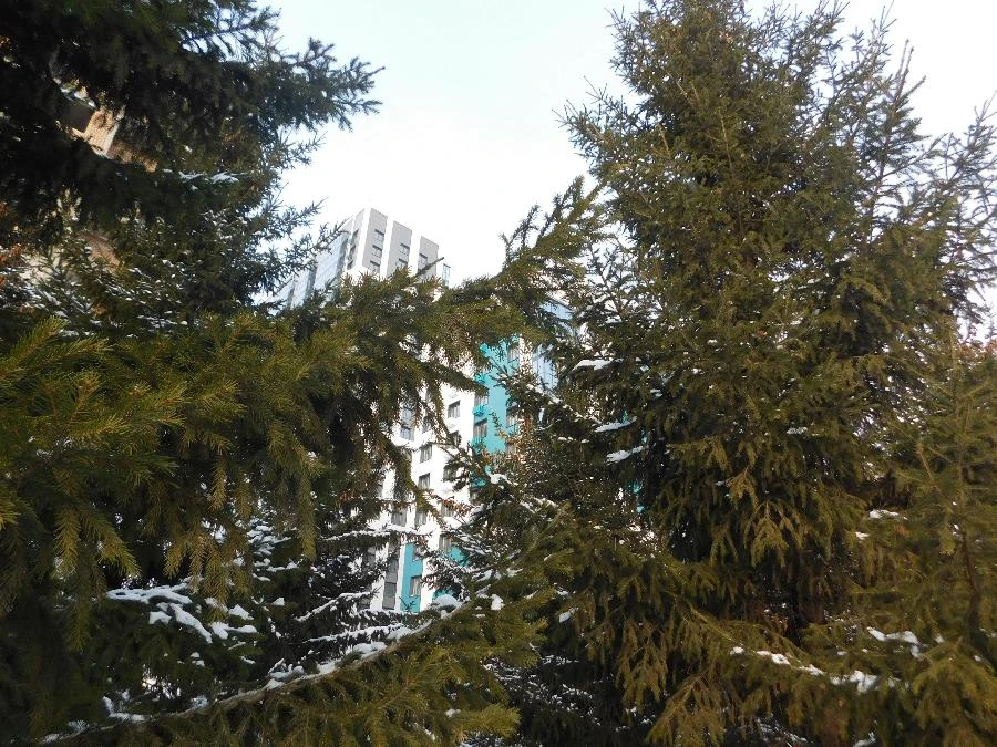 Прогноз погоды в Красноярске на 3 января