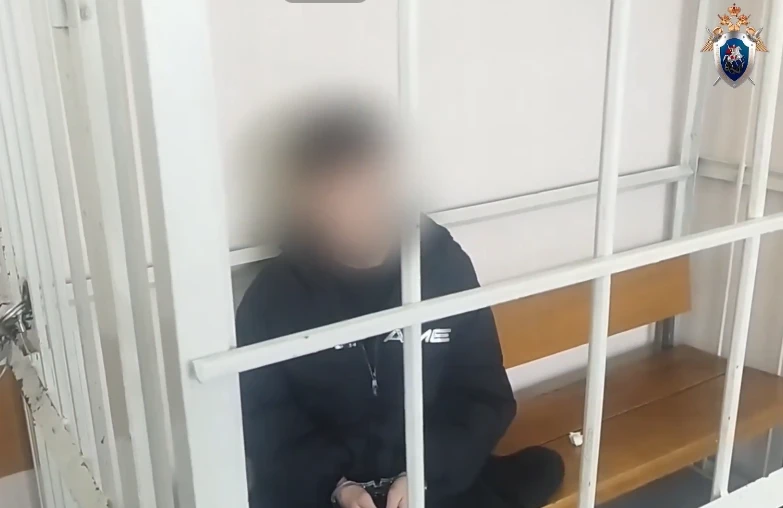 В Красноярском крае несовершеннолетнего подозревают в приготовлении к диверсии