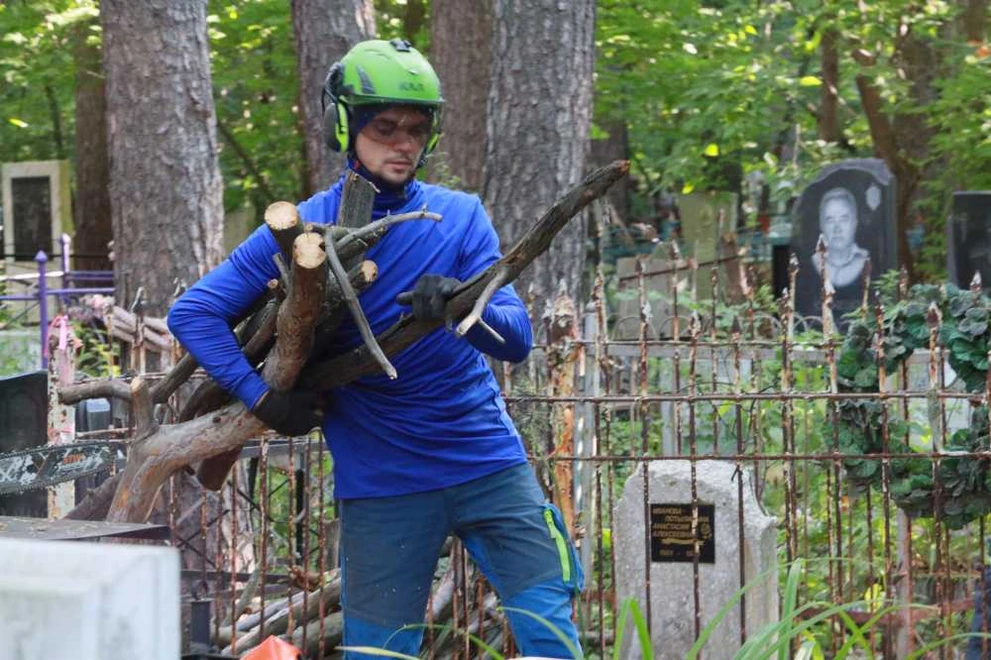 На новосибирских кладбищах убирают опасные деревья 