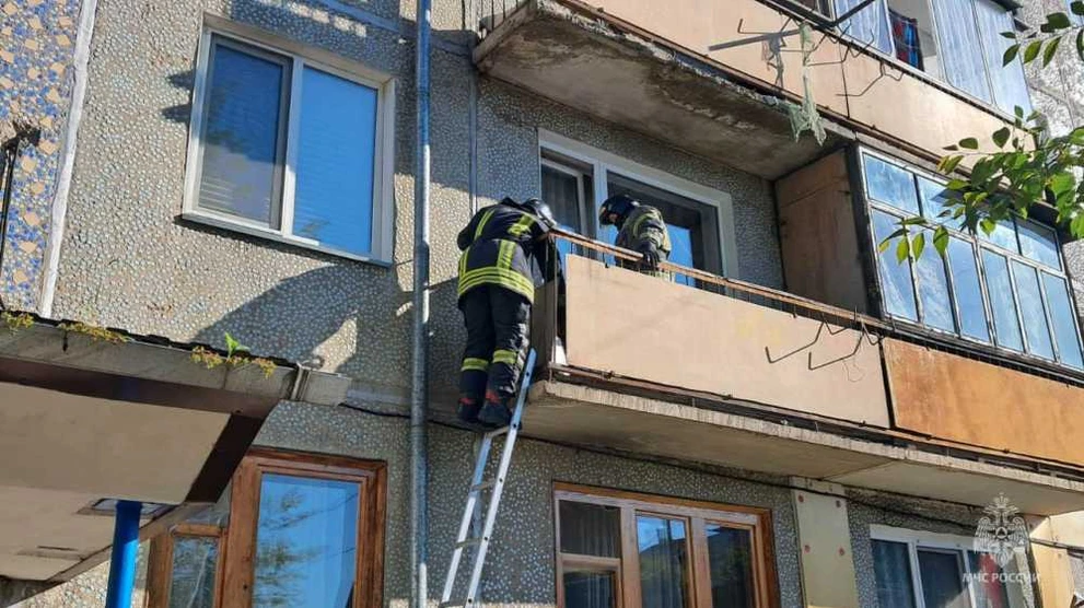 В Минусинске сотрудники МЧС Красноярского края помогли коту