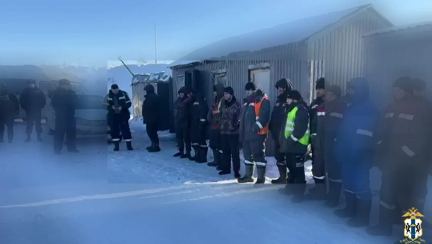 Полицейские Новосибирска в Искитимском районе обнаружили нелегальных мигрантов