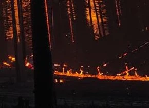 В Хакасии на прошедшей неделе ликвидировали 3 лесных пожара