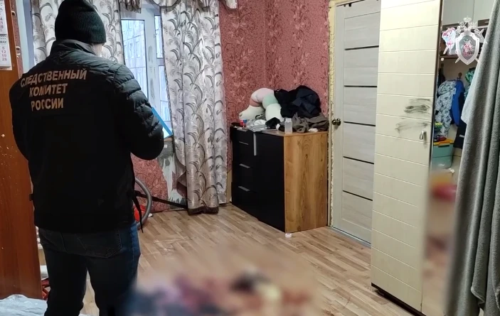 В Красноярском крае расследовано уголовное дело о покушении и убийстве 