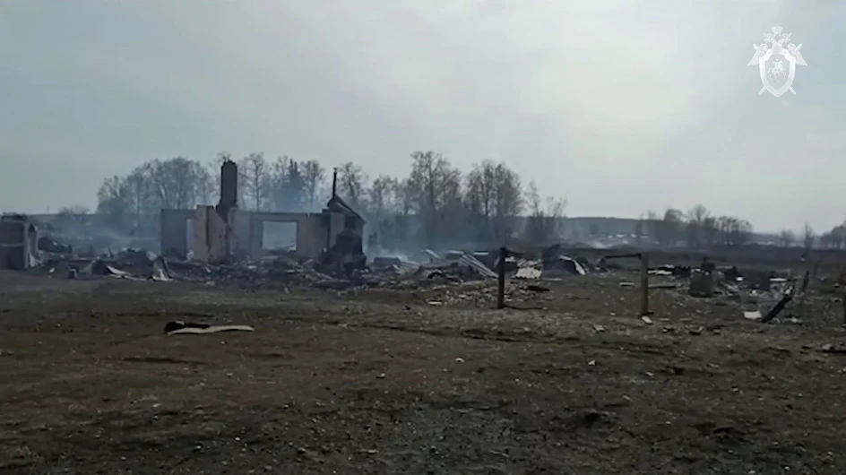 ск2.jpg