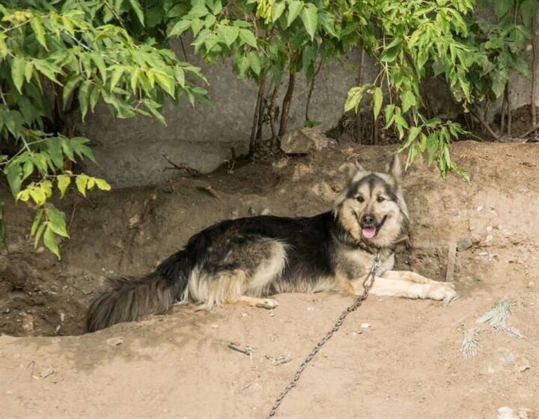 Злюн.jpg