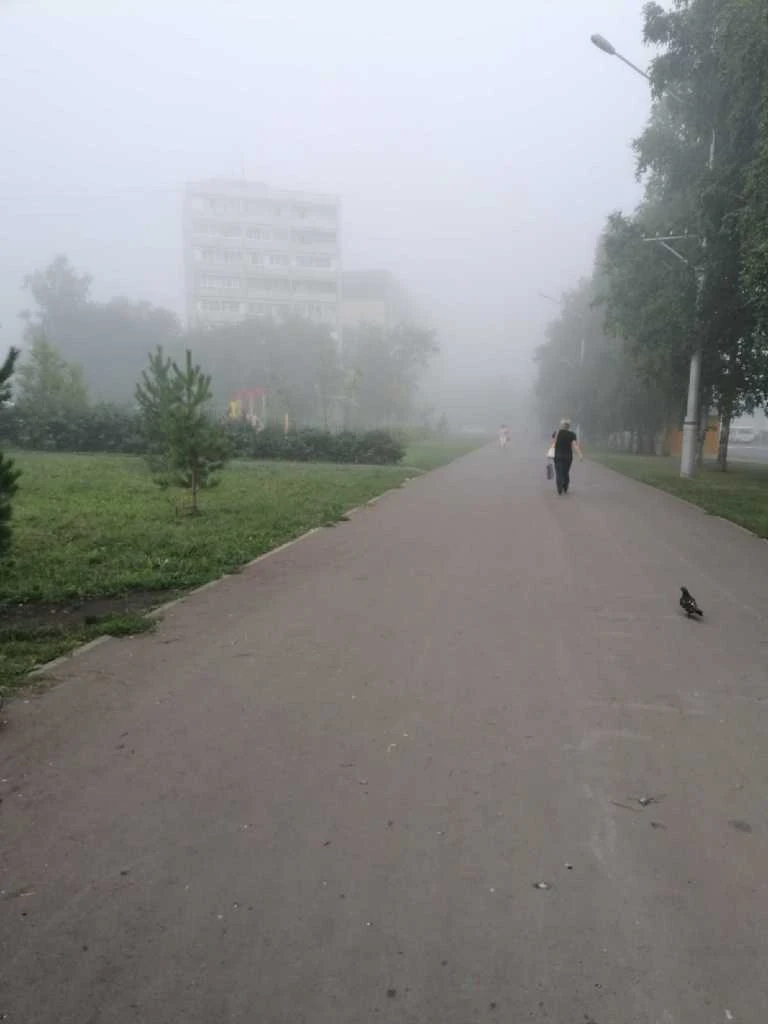 туман-2.jpg