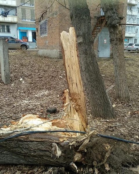 КрасКом_ликвидирует последствия штормого ветра (3).jpg