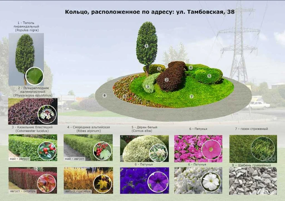 Тамбовская_кольцо_проект.jpg