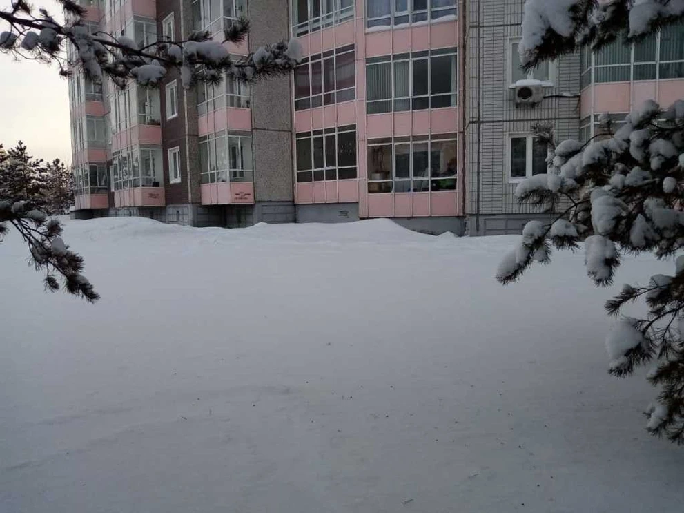 ботан3.jpg