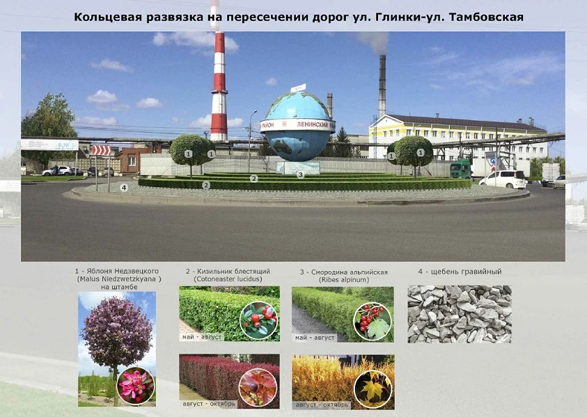 Проект_глобус.jpg