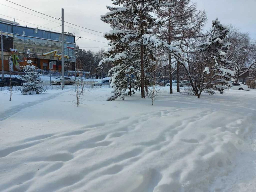 Центр3.jpg