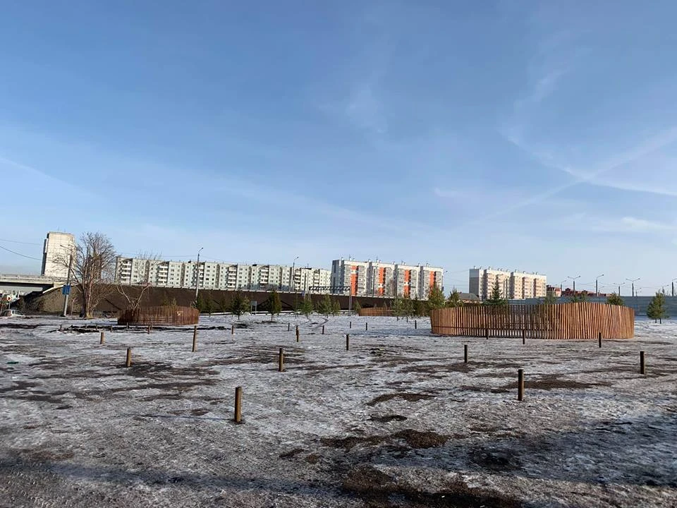 Ели1.jpg