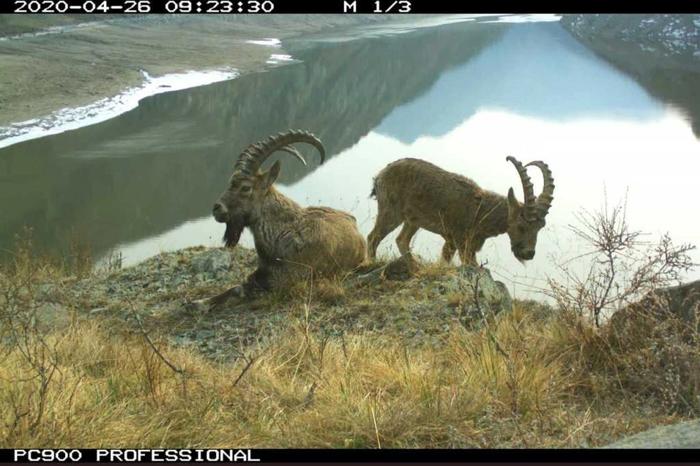 Z5fLK8WfZ-k (1).jpg