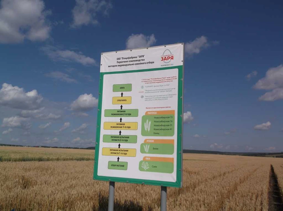 DSCF7096.JPG