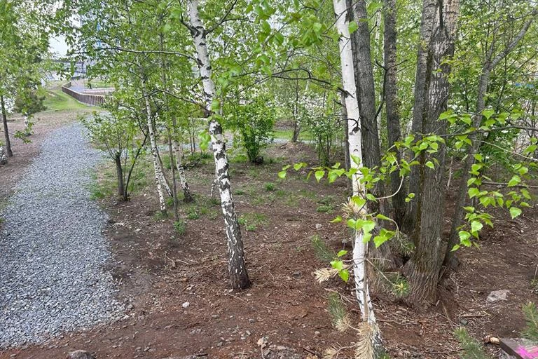 Площадка для выгула собак_СВ_0523 (3).jpg