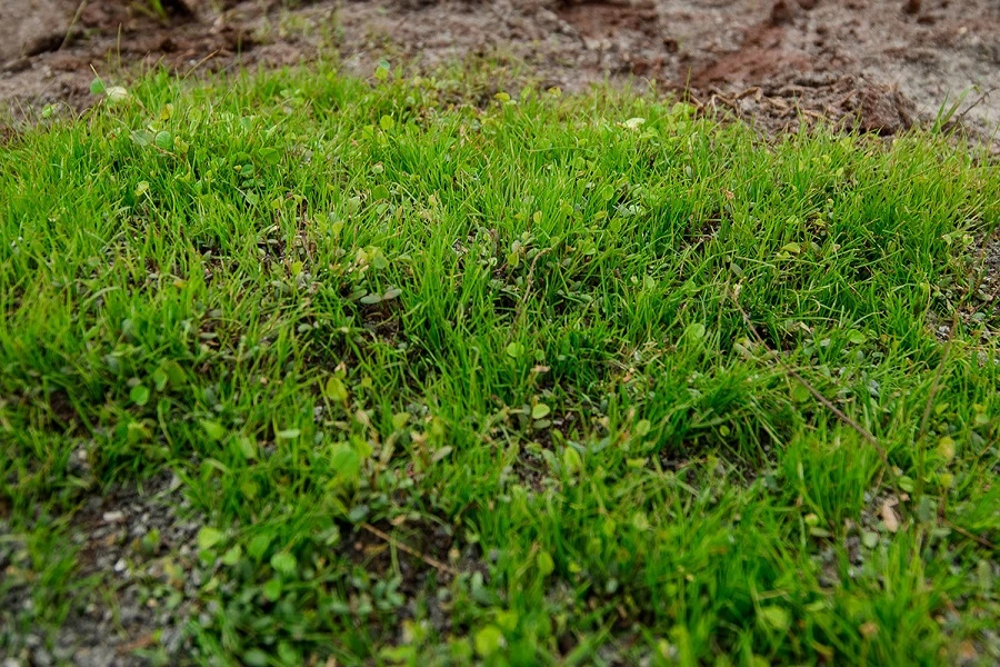 dsc8366-3983b61376.jpg
