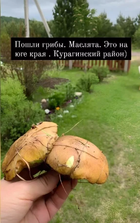 2024-06-04_10-38-30.png