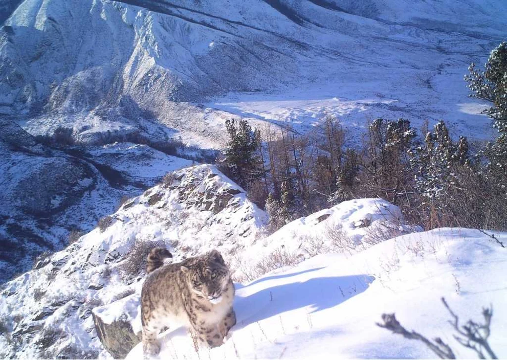 Сайлюгем3.jpg