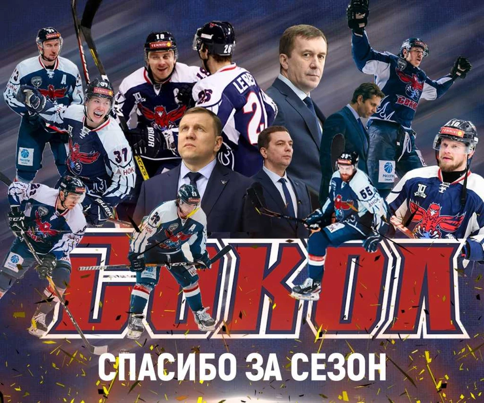сокол.jpg