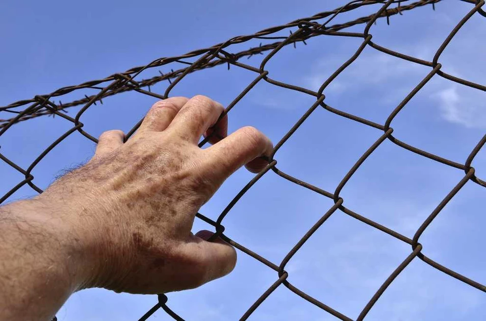 barbed-wire-1408454_1280.jpg