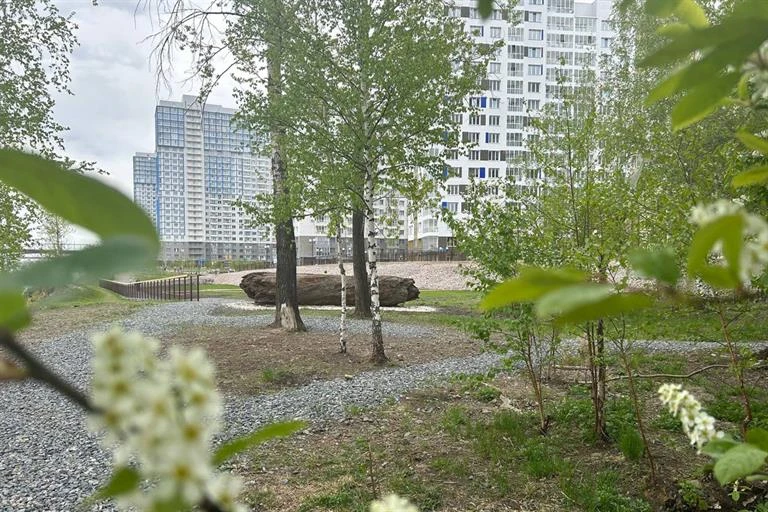 Площадка для выгула собак_СВ_0523 (2).jpg
