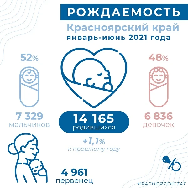 инфографика - рождаемость - кк.jpg